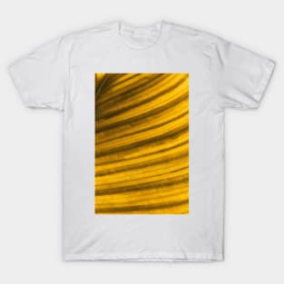 Golden Leaf II T-Shirt